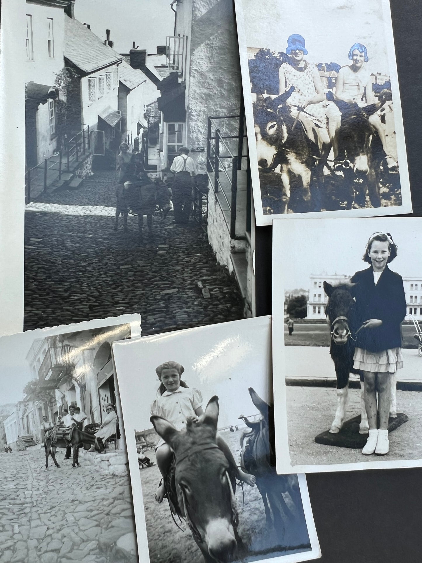 9 Old Photos Featuring Donkeys 1920s - 1950s (F3)