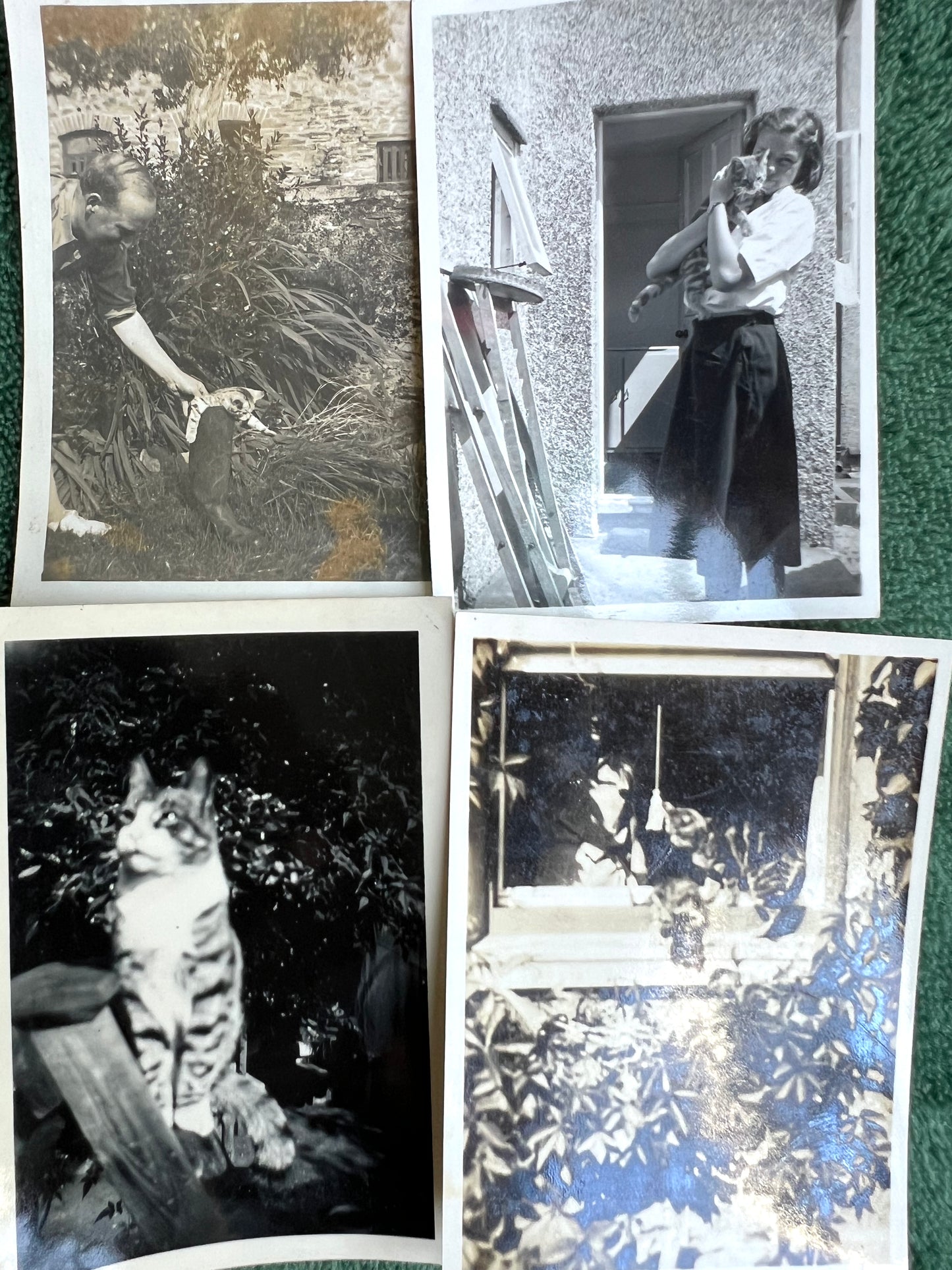 21 Old Photos of Cat..and sometimes Their Owners.. (F12)