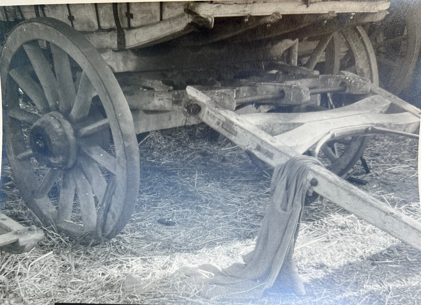 11 Interesting Old Old Photos of Animal Drawn Wooden Vehicles (F5)