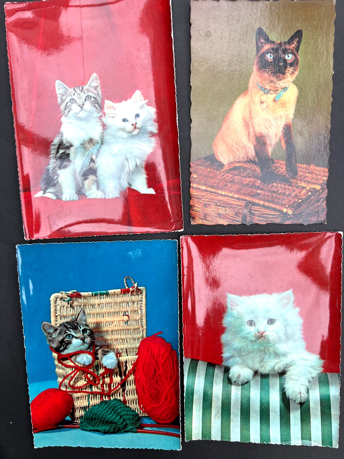 7 Delightfully Kitsch Vintage Italian Postcards of Cats - All Unused