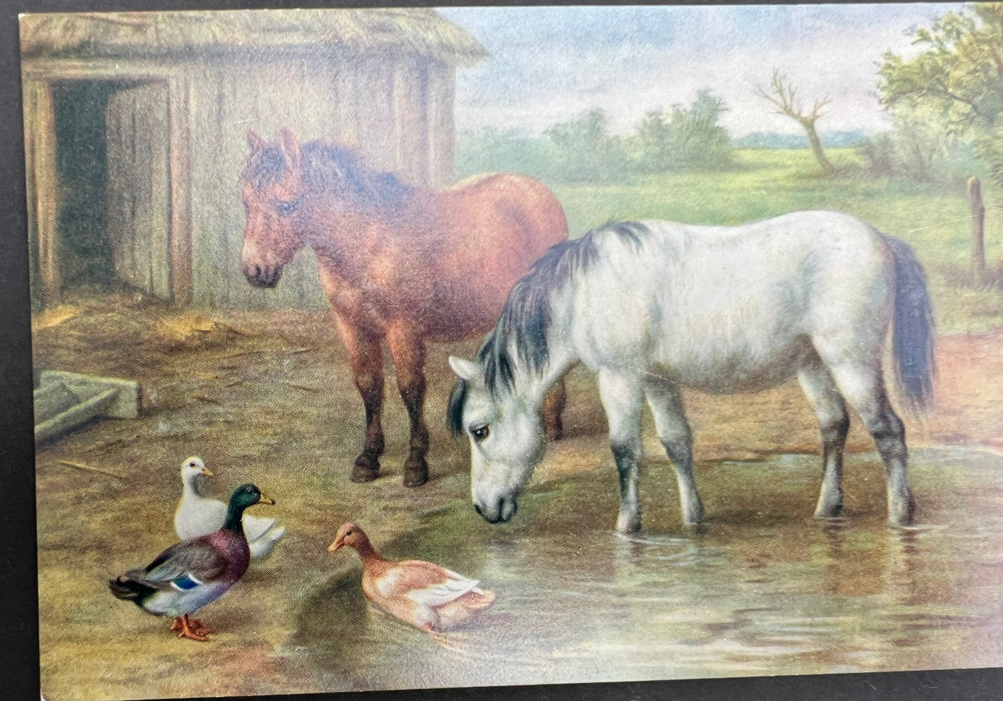 Delightful Farmyard Scene Postcards by Edgar Hunt - 1950s Salmon Water Colour Postcards - Unused