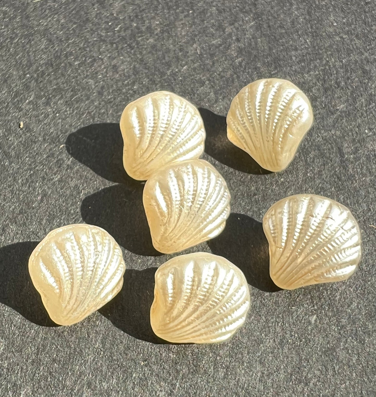 6 Vintage 1.2cm Cream Glass Sea Shell Buttons