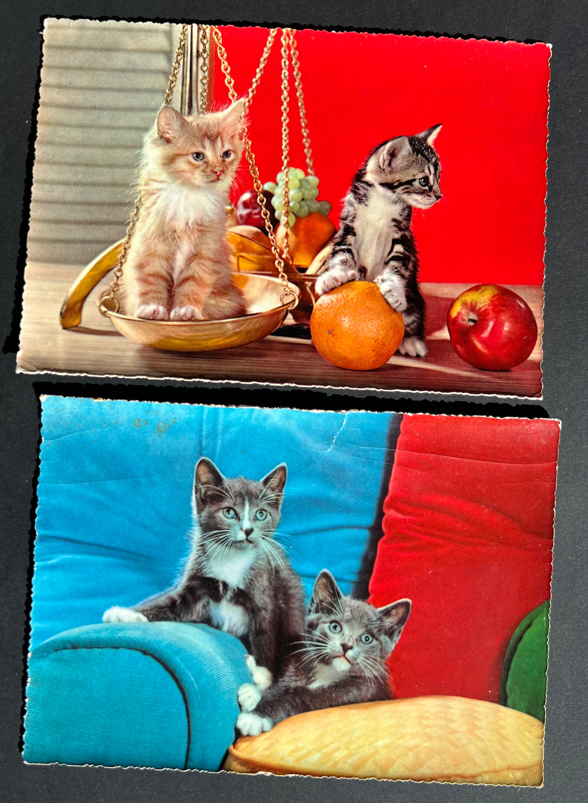 7 Vintage Cat Postcards