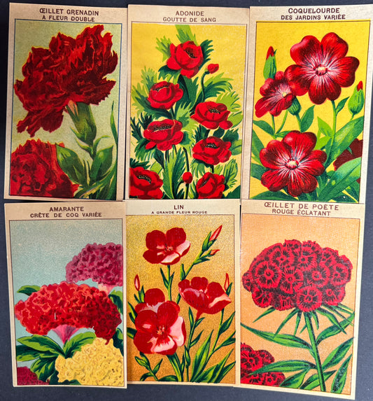 6 Gorgeous French 1920s Seed Packet Labels Pack V