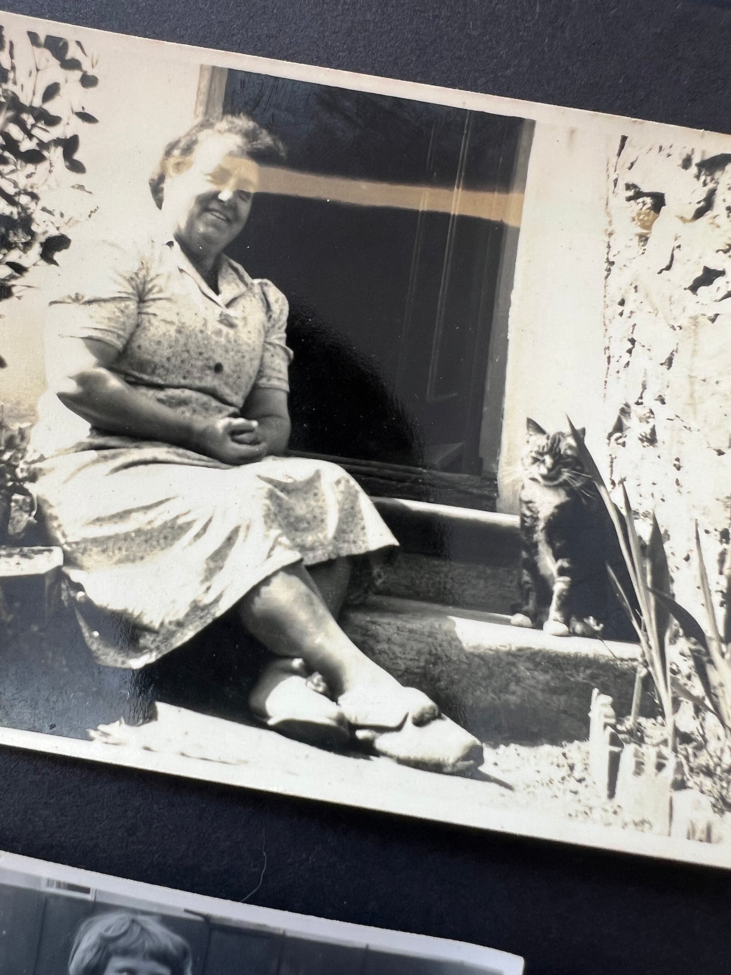 6 Old Photos of People and Cats (F32)