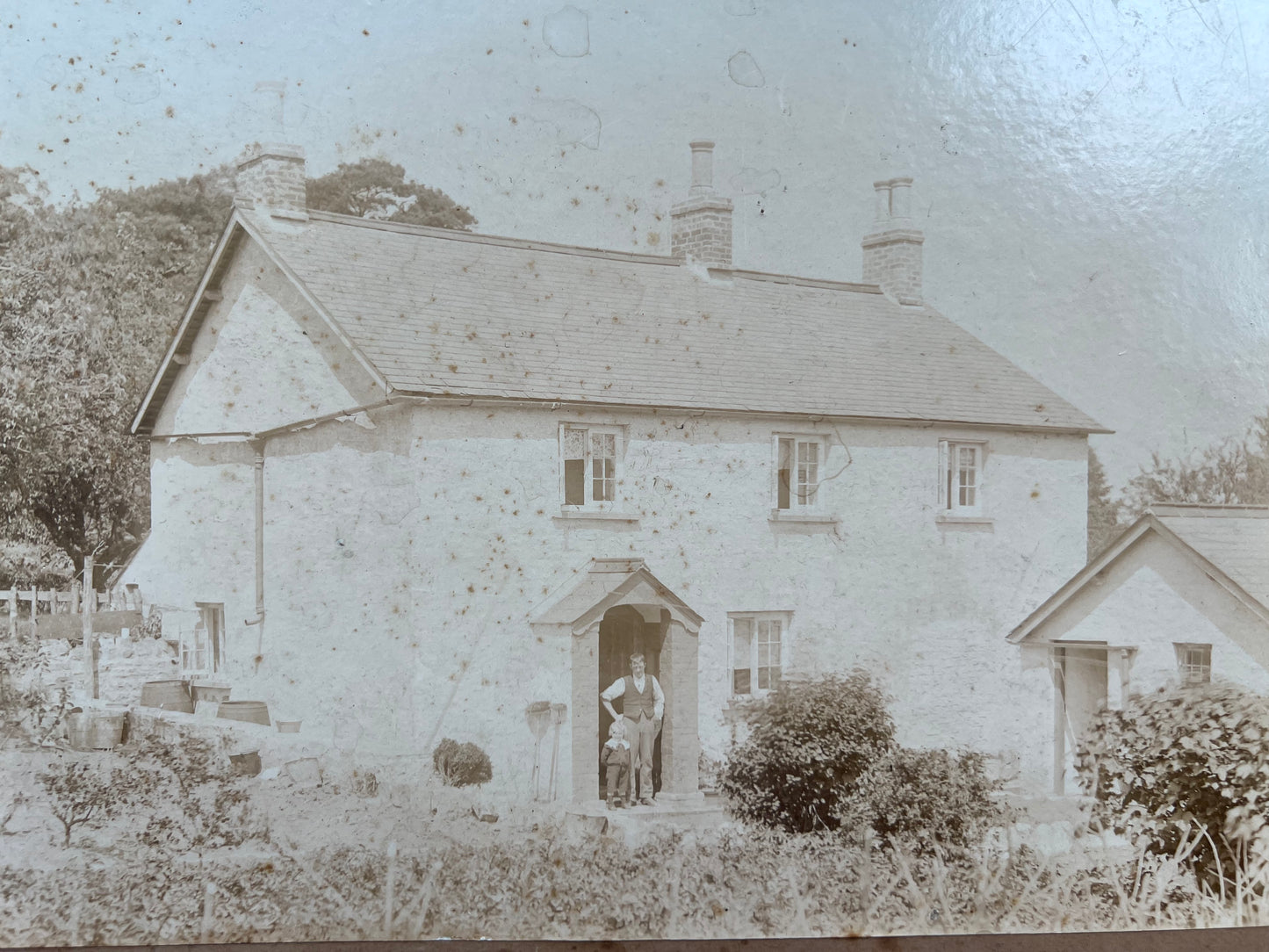 7 Large Early 20th C Photos on Card
