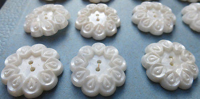 6 Pretty Snow White Vintage Flower 2cm or 1.8cm Buttons