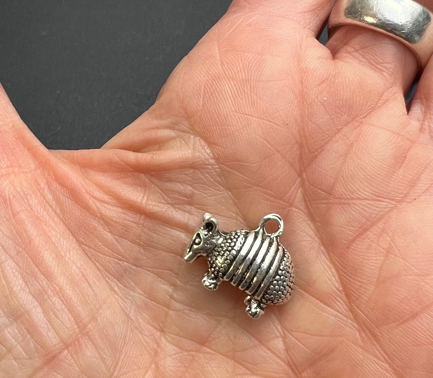 2cm long Armadillo Charm or Pendant