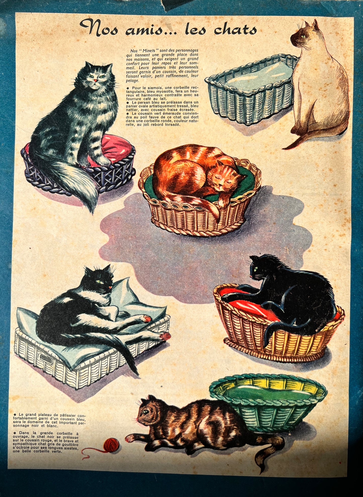 Embroidery Pattern in October 1956 French Magazine Votre Mode