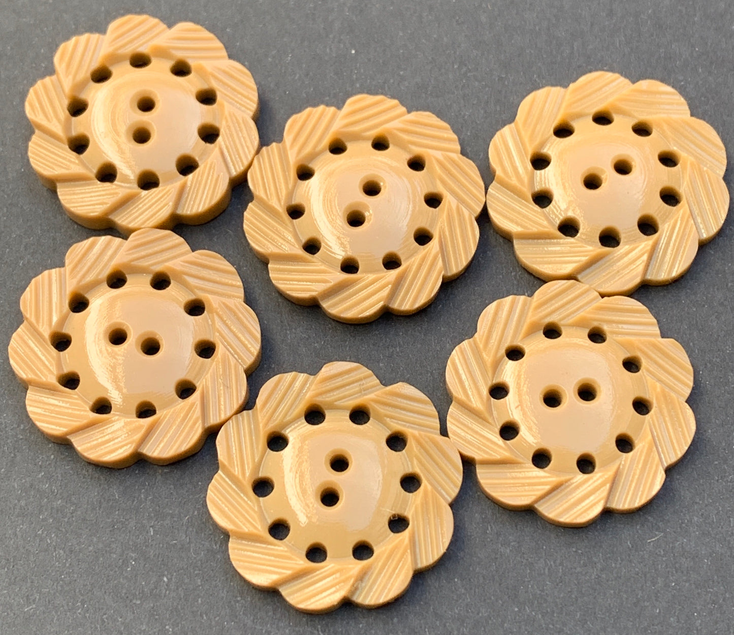 6 Fawn Vintage Pie Crust Buttons -2.2cm
