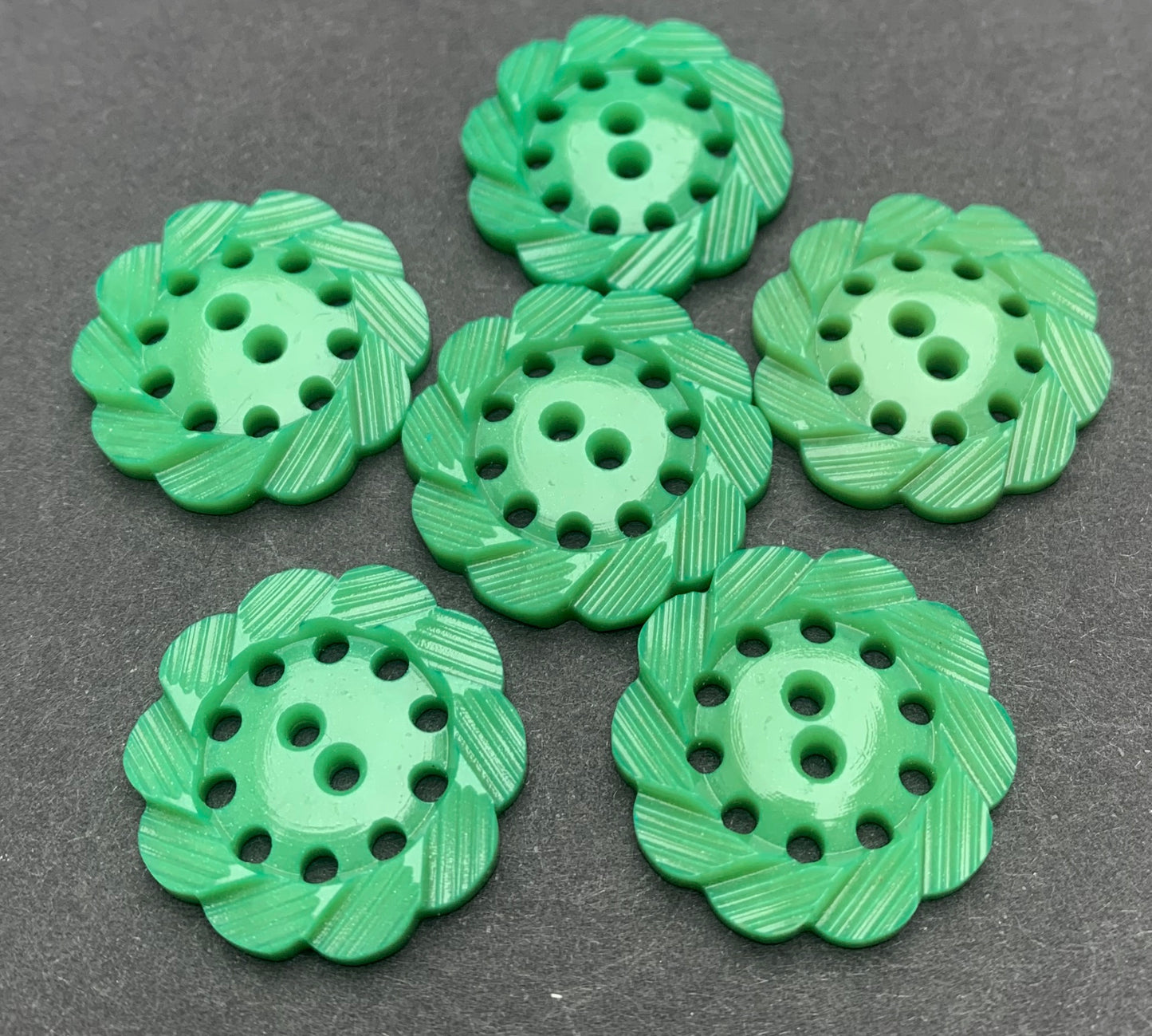 6 Rosemary Green Pie crust Edged Vintage Buttons -2.2cm