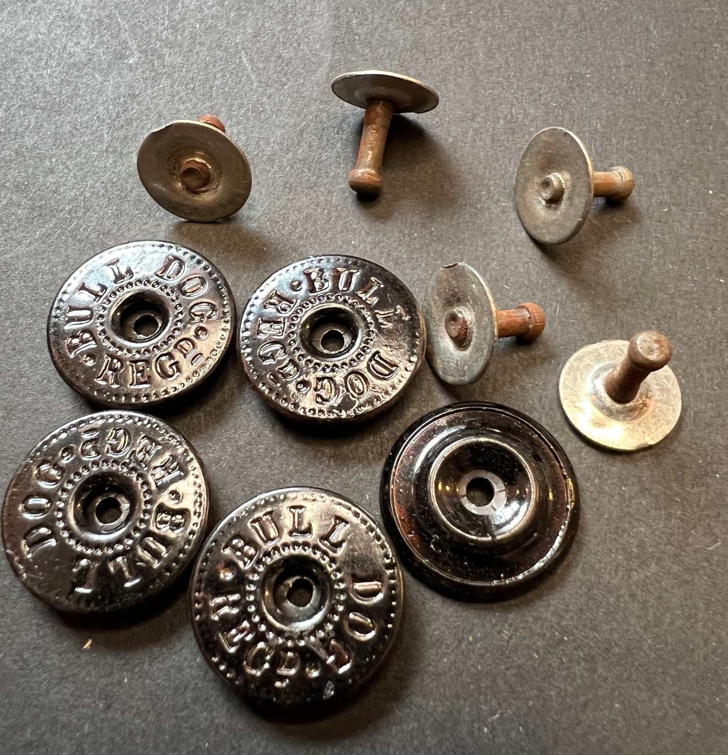 1920s BULLDOG Batchelor Buttons