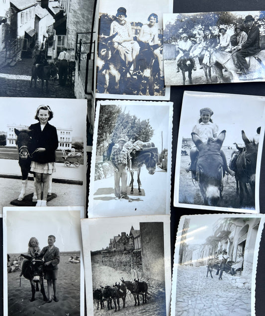 9 Old Photos Featuring Donkeys 1920s - 1950s (F3)