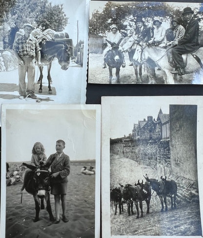 9 Old Photos Featuring Donkeys 1920s - 1950s (F3)
