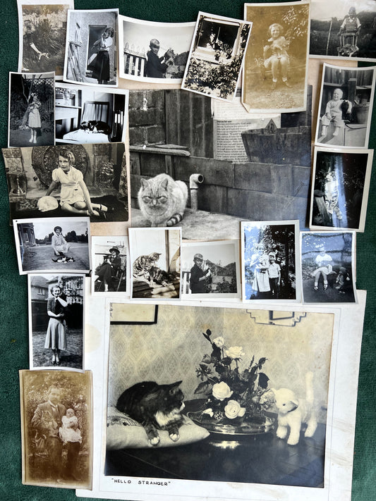 21 Old Photos of Cat..and sometimes Their Owners.. (F12)