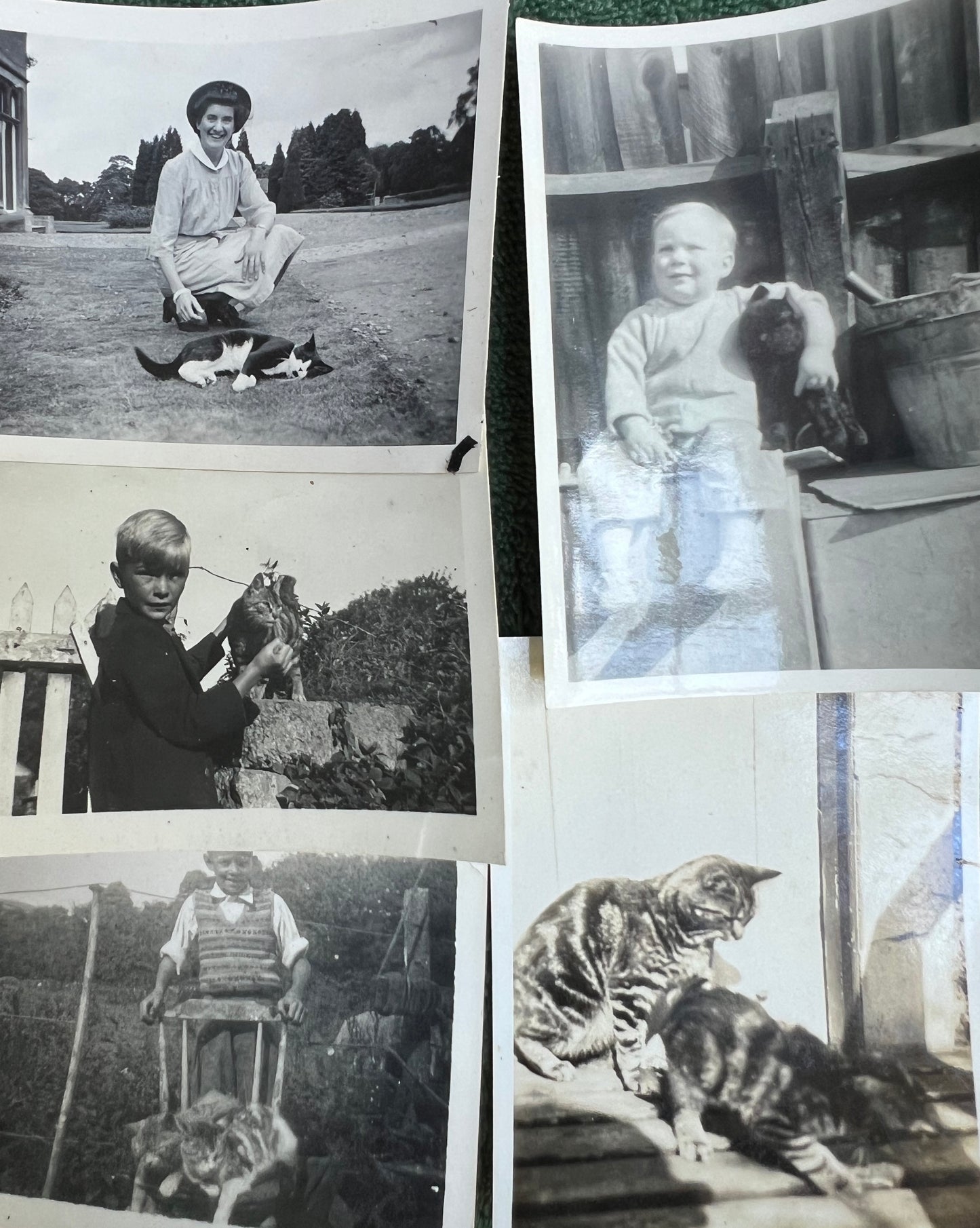 21 Old Photos of Cat..and sometimes Their Owners.. (F12)