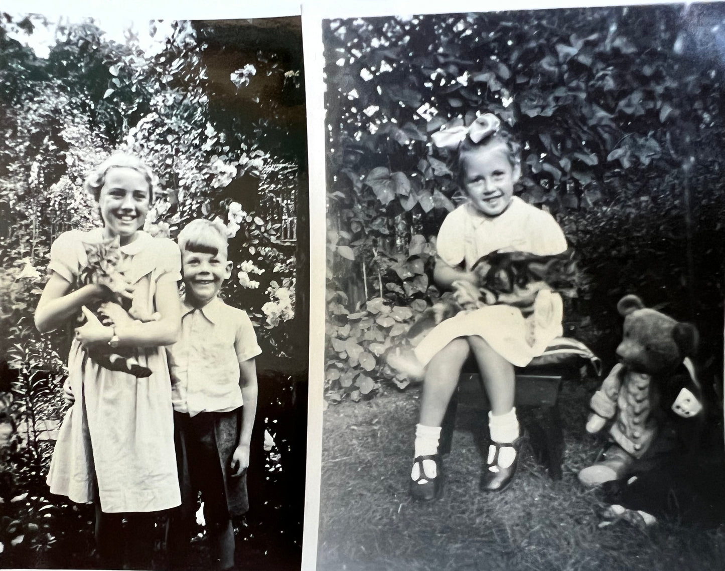 21 Old Photos of Cat..and sometimes Their Owners.. (F12)