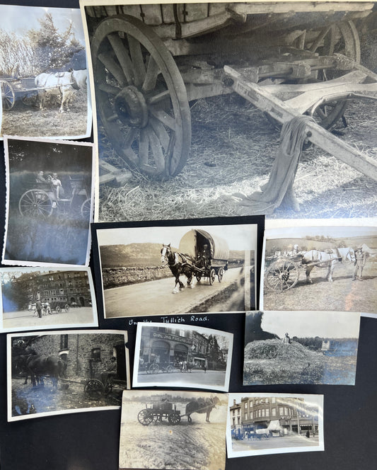 11 Interesting Old Old Photos of Animal Drawn Wooden Vehicles (F5)