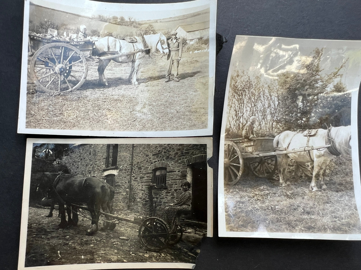 11 Interesting Old Old Photos of Animal Drawn Wooden Vehicles (F5)