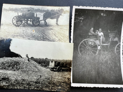 11 Interesting Old Old Photos of Animal Drawn Wooden Vehicles (F5)