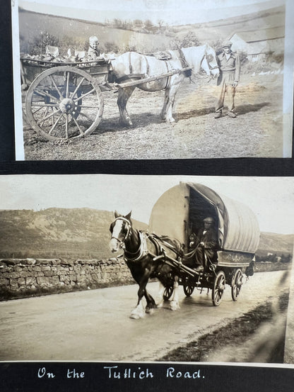 11 Interesting Old Old Photos of Animal Drawn Wooden Vehicles (F5)