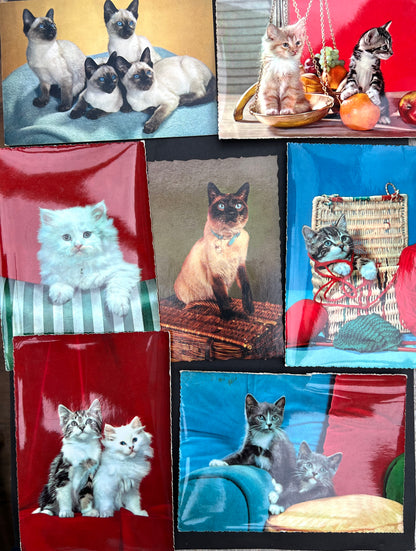 7 Delightfully Kitsch Vintage Italian Postcards of Cats - All Unused
