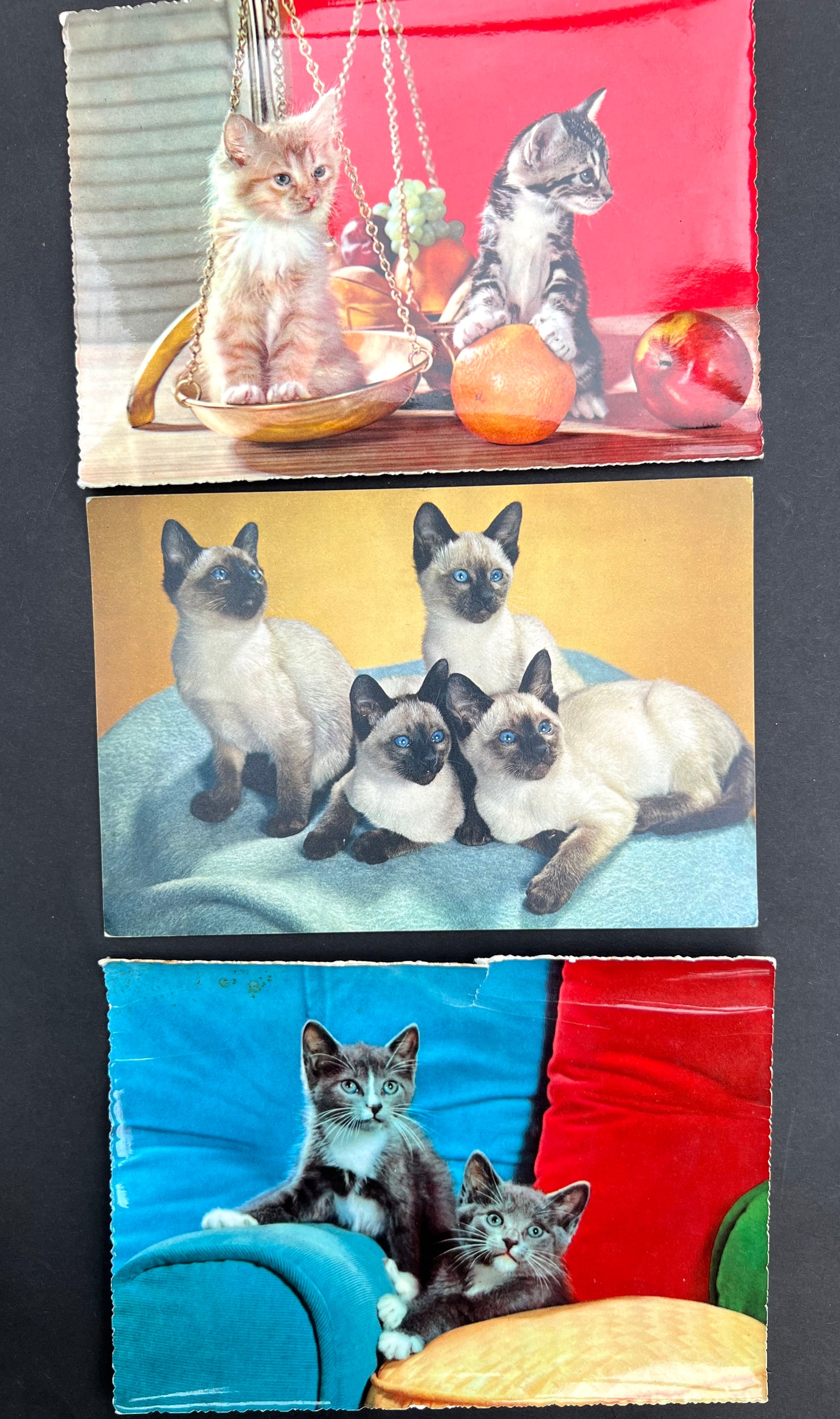 7 Delightfully Kitsch Vintage Italian Postcards of Cats - All Unused