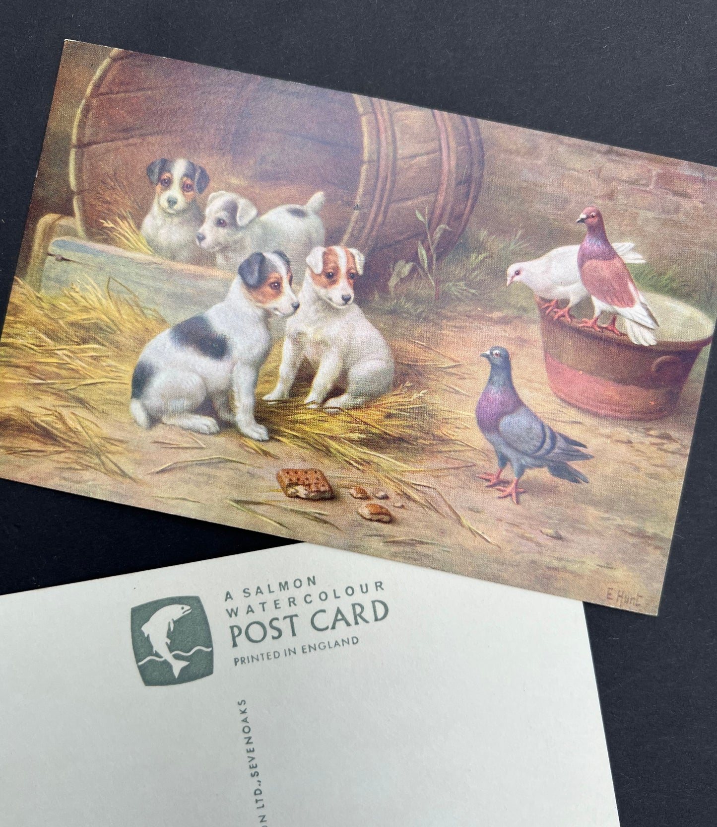 Delightful Farmyard Scene Postcards by Edgar Hunt - 1950s Salmon Water Colour Postcards - Unused