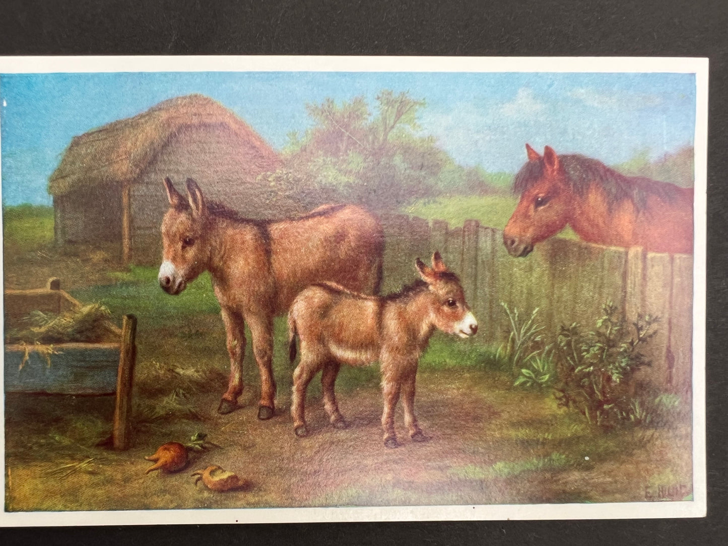 Delightful Farmyard Scene Postcards by Edgar Hunt - 1950s Salmon Water Colour Postcards - Unused