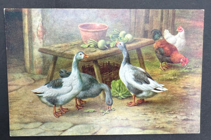 Delightful Farmyard Scene Postcards by Edgar Hunt - 1950s Salmon Water Colour Postcards - Unused