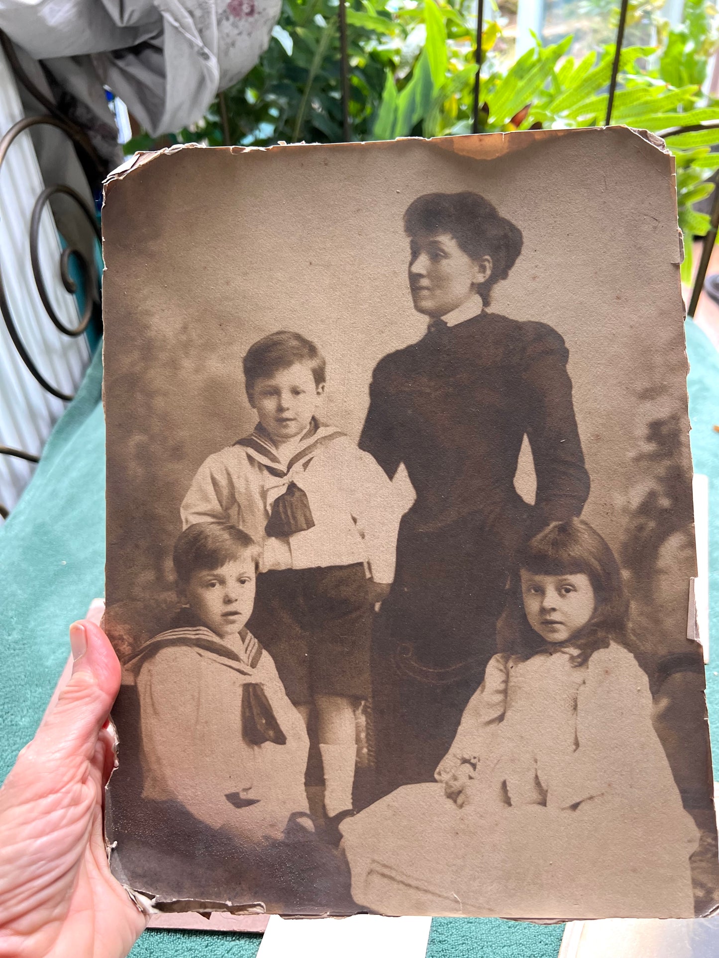 7 Big Edwardian Photographs on Card