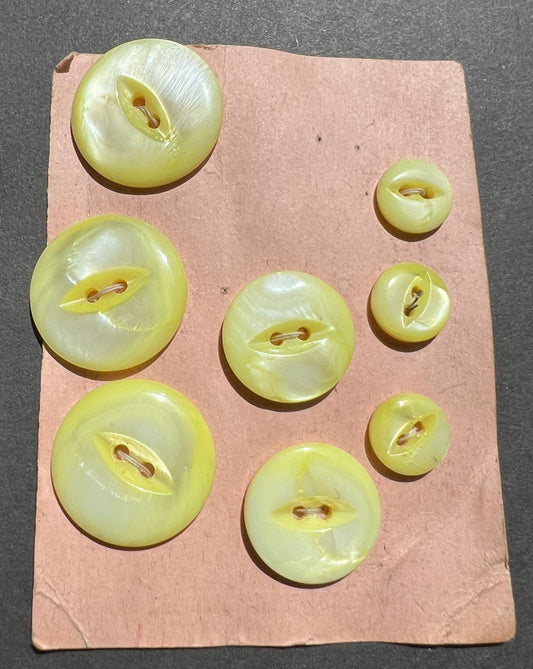 8 Vintage Hand Cut Yellow Dyed Mother of Pearl Buttons
