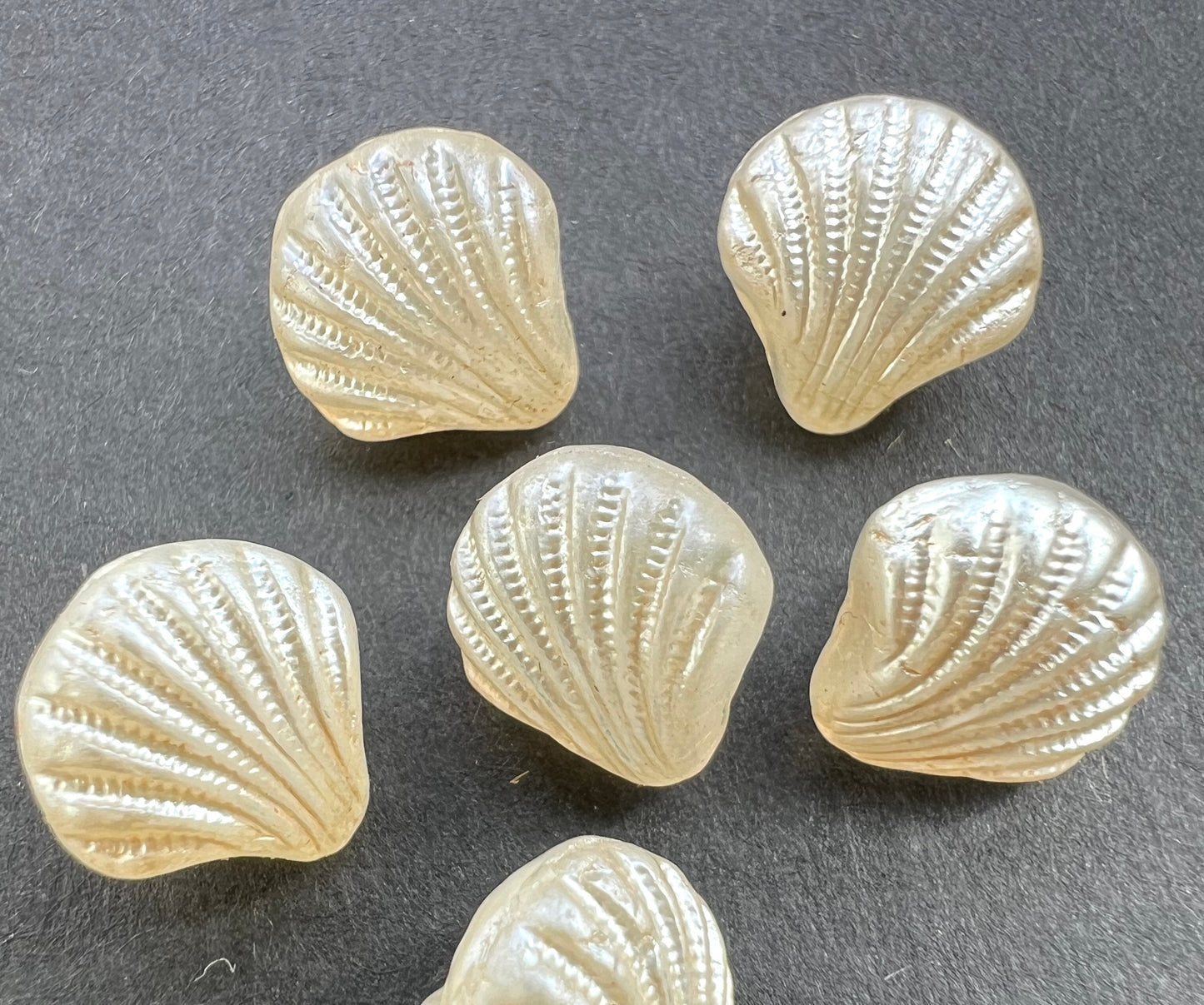 6 Vintage 1cm Cream Glass Sea Shell  Buttons