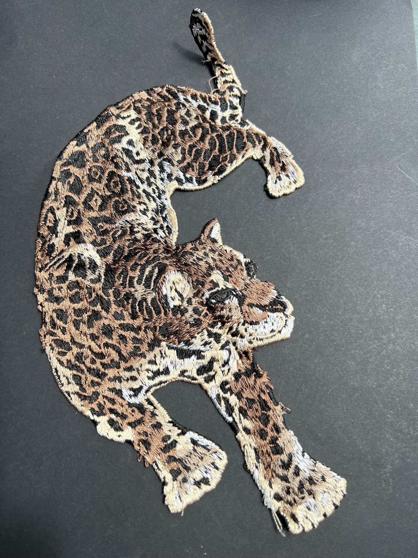 Striking 23cm Leopard Applique