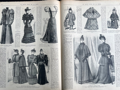 Scary Wigs in 29th January 1893  French Women's Paper Le Petit Echo de la Mode