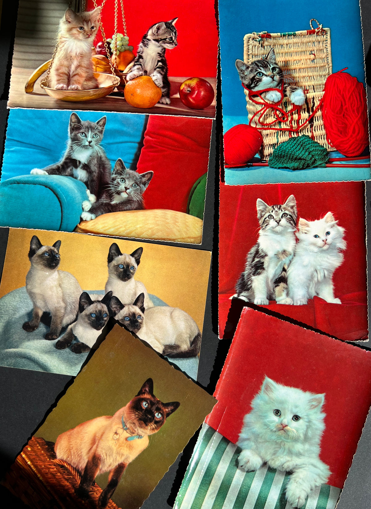 7 Vintage Cat Postcards