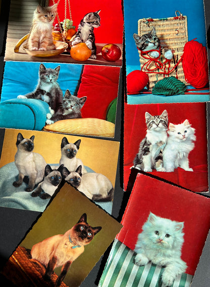 7 Vintage Cat Postcards