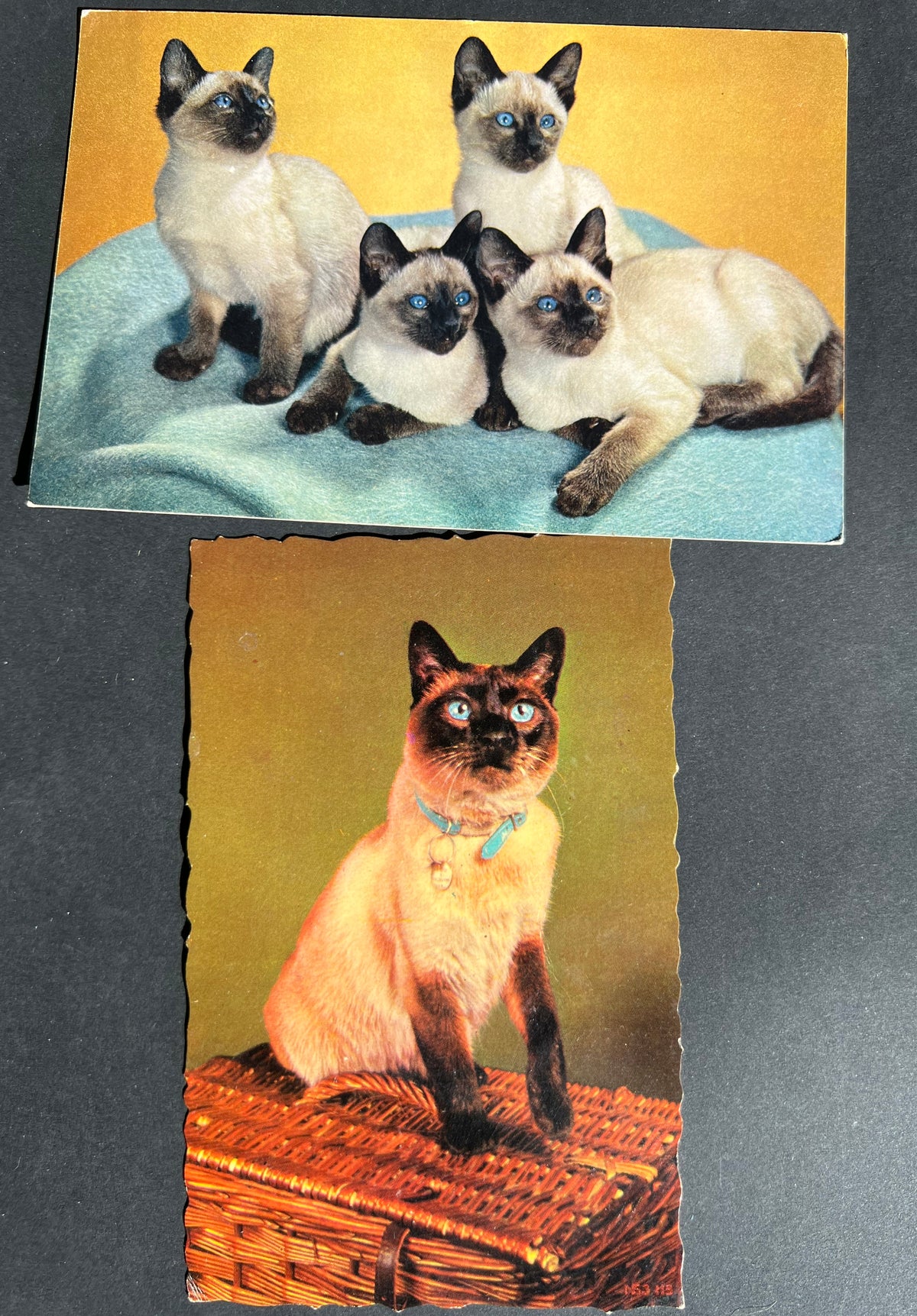 7 Vintage Cat Postcards