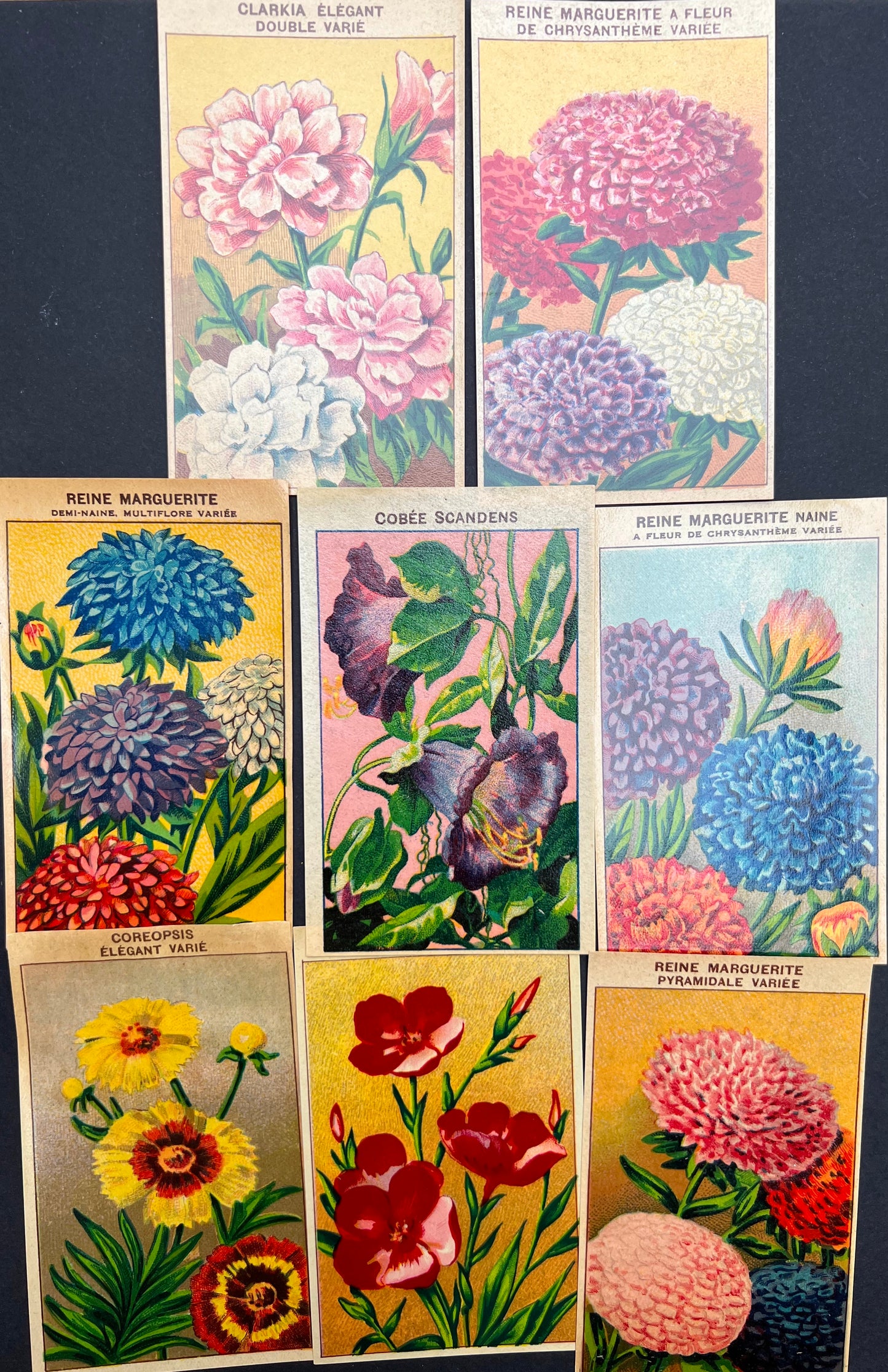 8 French 1920s Seed Packet Labels (No 2)