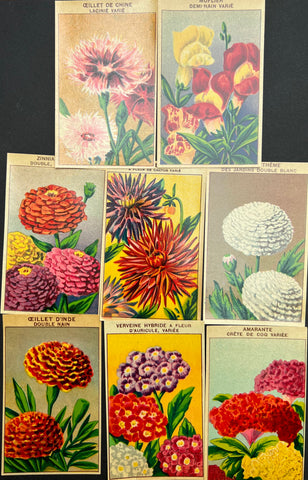 8 French 1920s Seed Packet Labels (No 3)