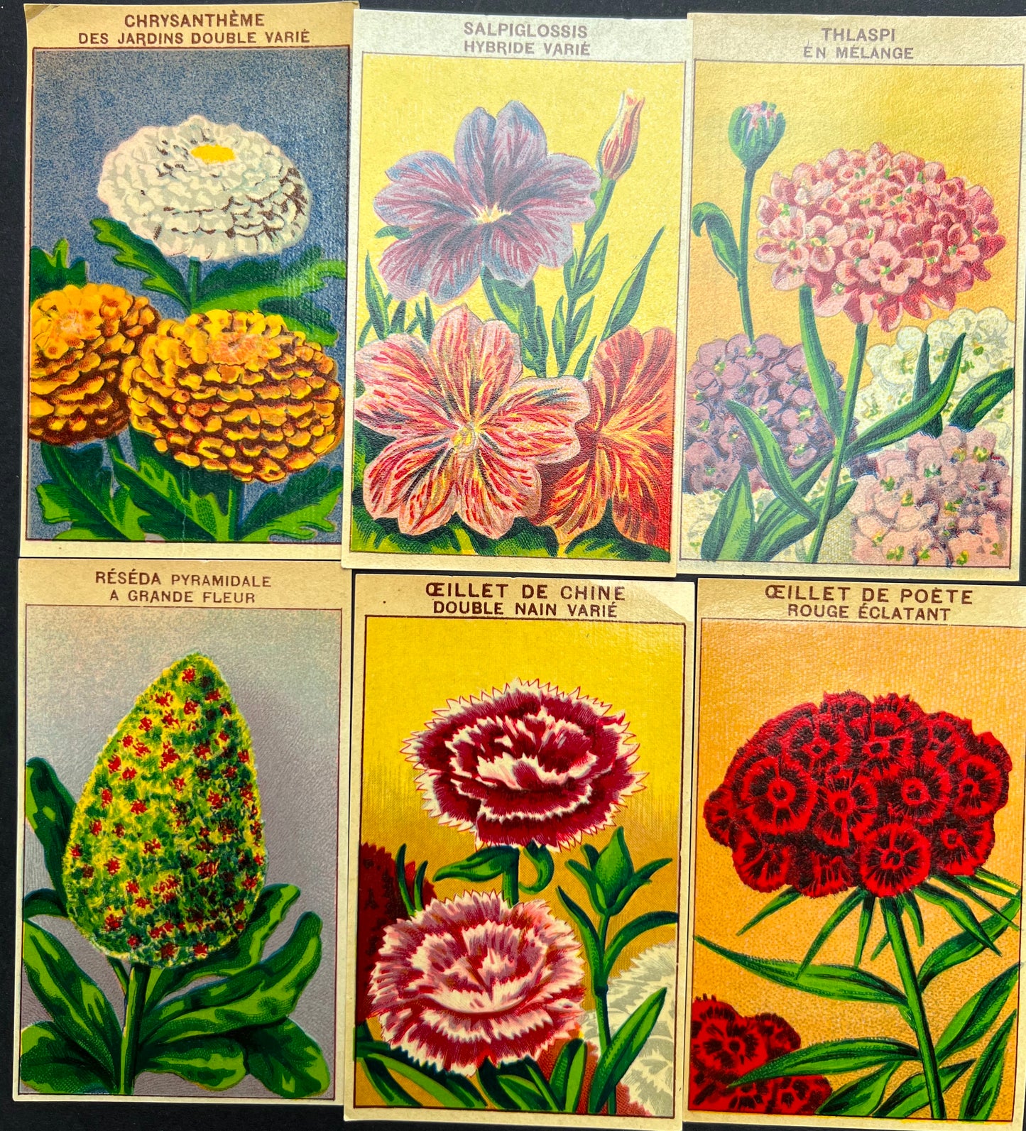 6 French 1920s Seed Packet Labels (No 5)
