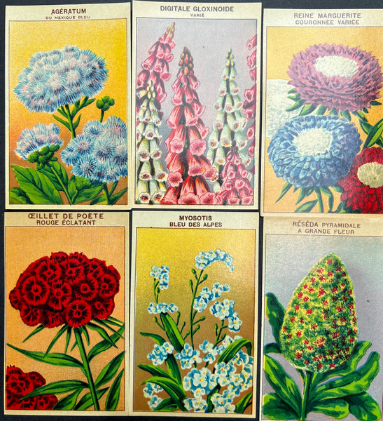 6 French 1920s Seed Packet Labels (No 6)