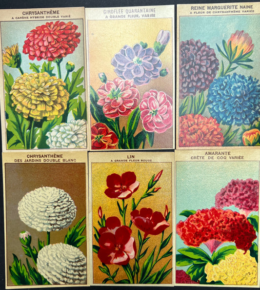 6 French 1920s Seed Packet Labels (No 8)