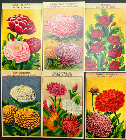 6 French 1920s Seed Packet Labels (No 9)