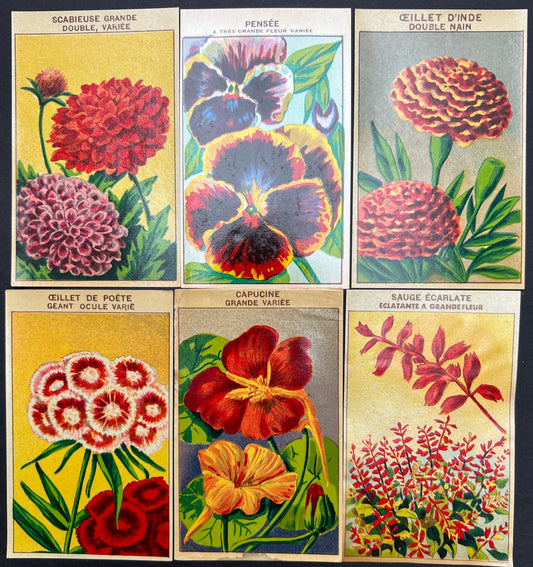 6 French 1920s Seed Packet Labels (No 10)