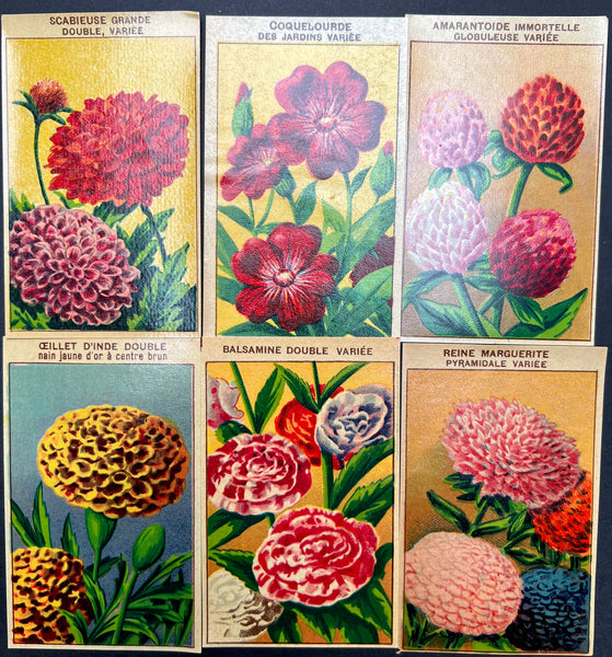 6 French 1920s Seed Packet Labels (No 12)