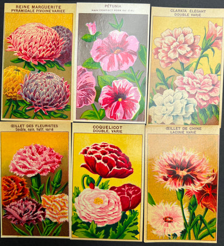 6 Gorgeous French 1920s Seed Packet Labels Pack R