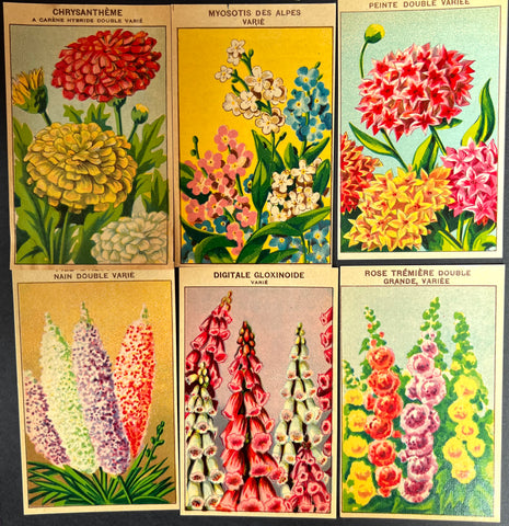 6 Gorgeous French 1920s Seed Packet Labels Pack O