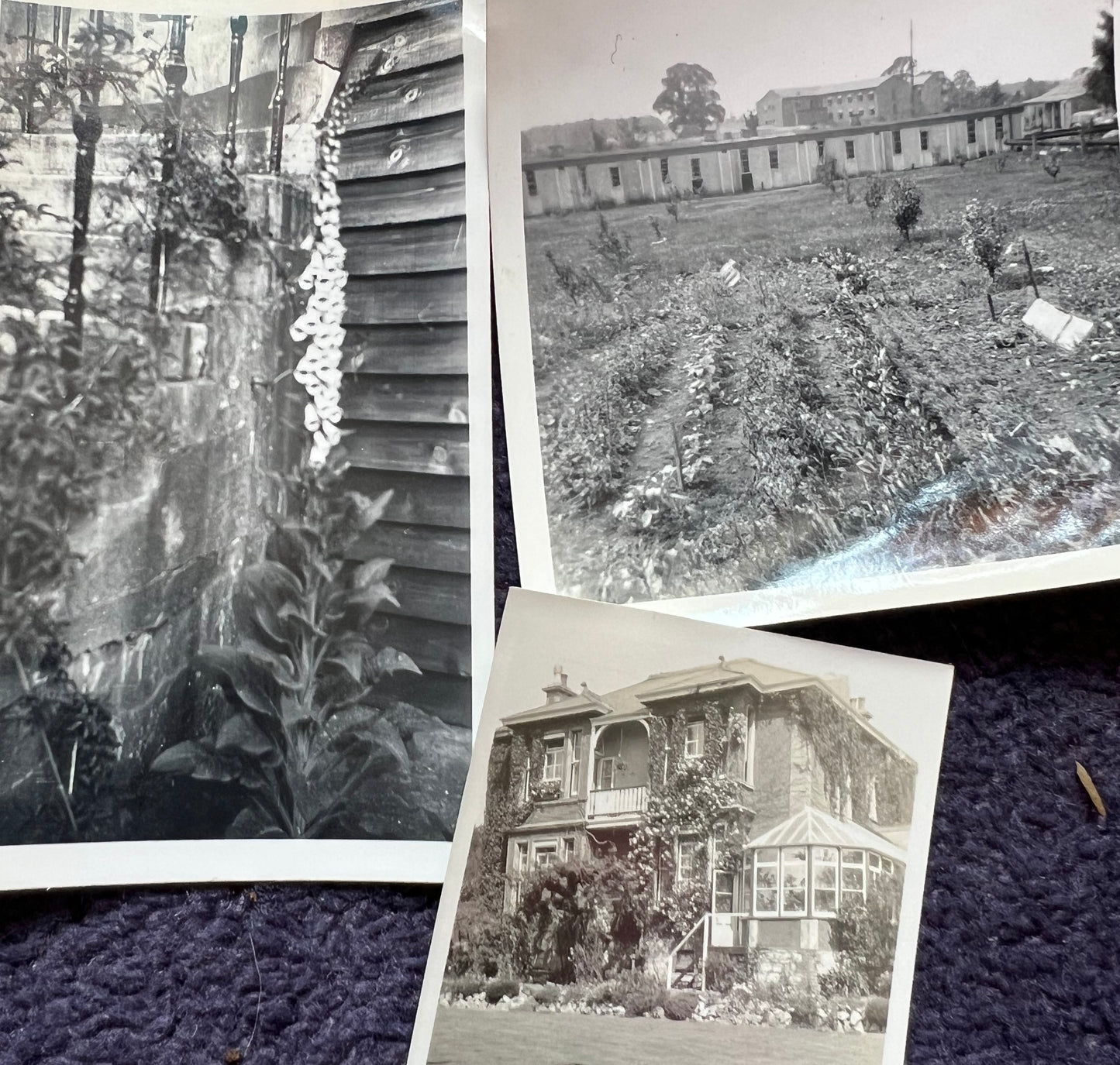 17 Old Photos of People in Their Gardens (F7)