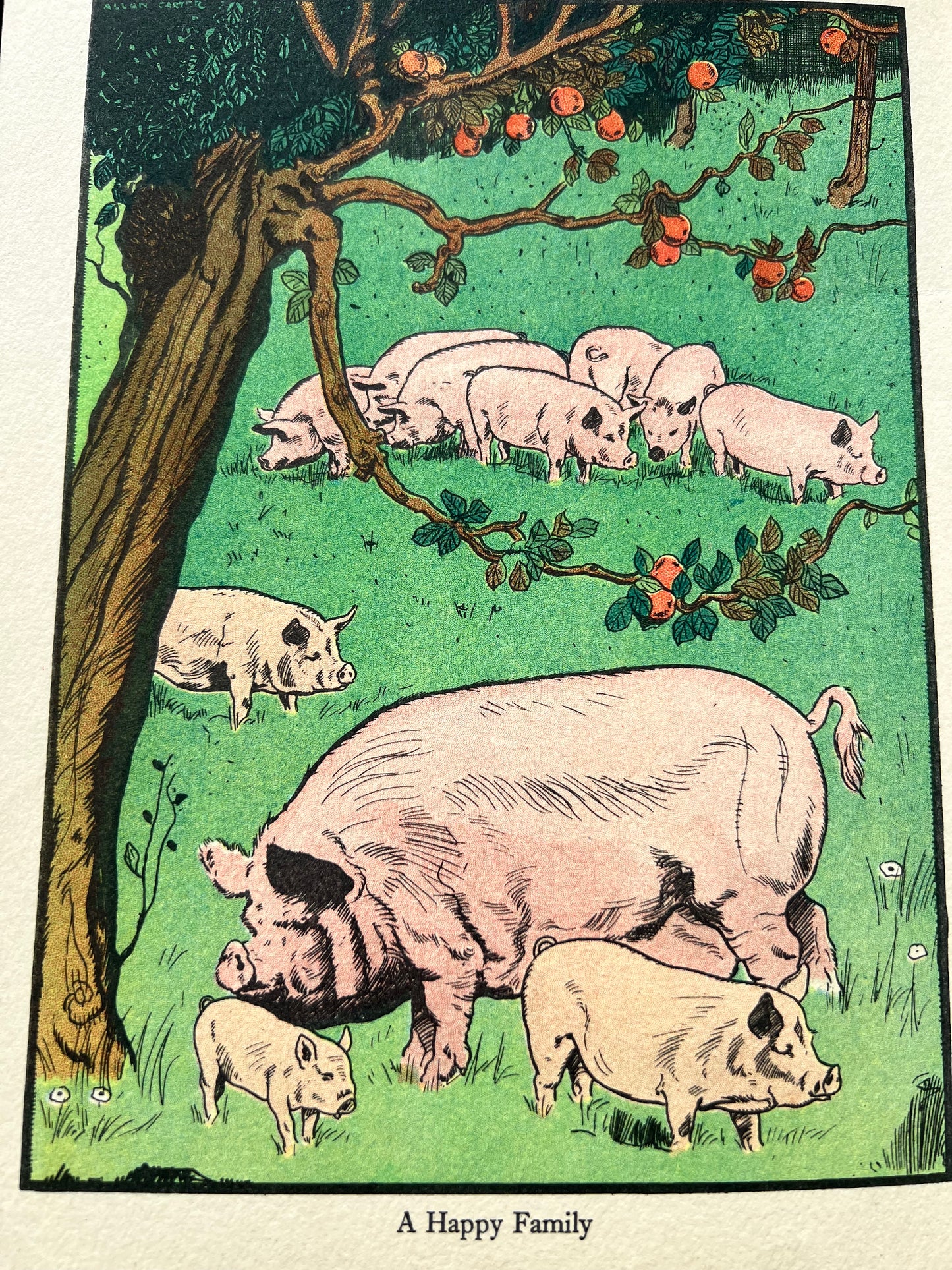 1936 BLACKIES "TODDLERS" Illustrated story book